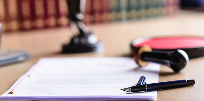 Press Release Concerning the Decision Annuling the Law Which Exempts the Administration from Liability for Certain Measures