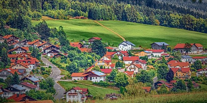 Press Release concerning the Decision Dismissing the Request for Annulment of the Allegedly Unconstitutional Provisions of the Forest Law