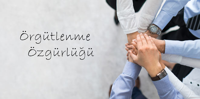 Sendikanın Çağrısına Uyarak Göreve Gitmeyen Öğretmenin Aylıktan Kesme Cezası ile Cezalandırılması Nedeniyle Örgütlenme Özgürlüğünün İhlal Edilmediği