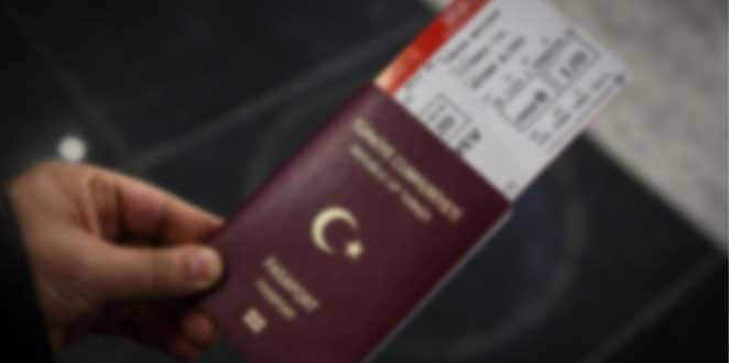 Press Release concerning the Decision Annulling the Provisions Restricting the Freedom to Go Abroad